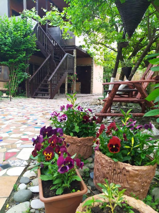 Guest House Lev Πιτσούντα Εξωτερικό φωτογραφία