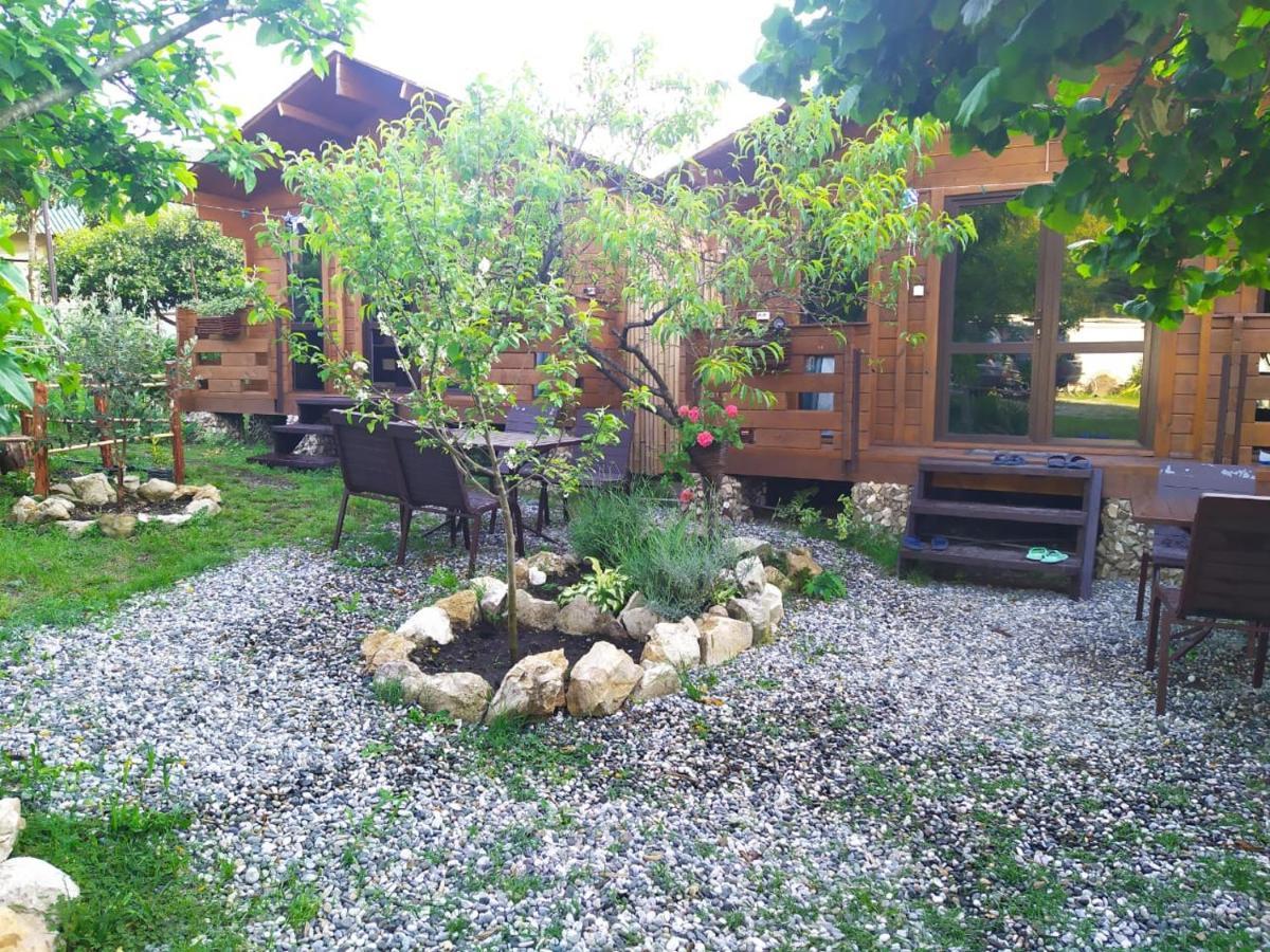Guest House Lev Πιτσούντα Εξωτερικό φωτογραφία